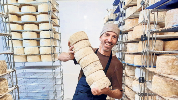 Lait biologique de brebis : le plus rare des laits rares